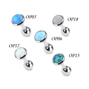 Spot Wholesale Titanium Steel Earrings Inlaid with Opal Ear Bone Nails Opal Earrings