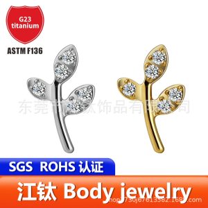 G23 Titanium Alloy Ear Piercing Earrings Diamond-Inlaid Leaf Design Ear Bone Studs F136 Titanium