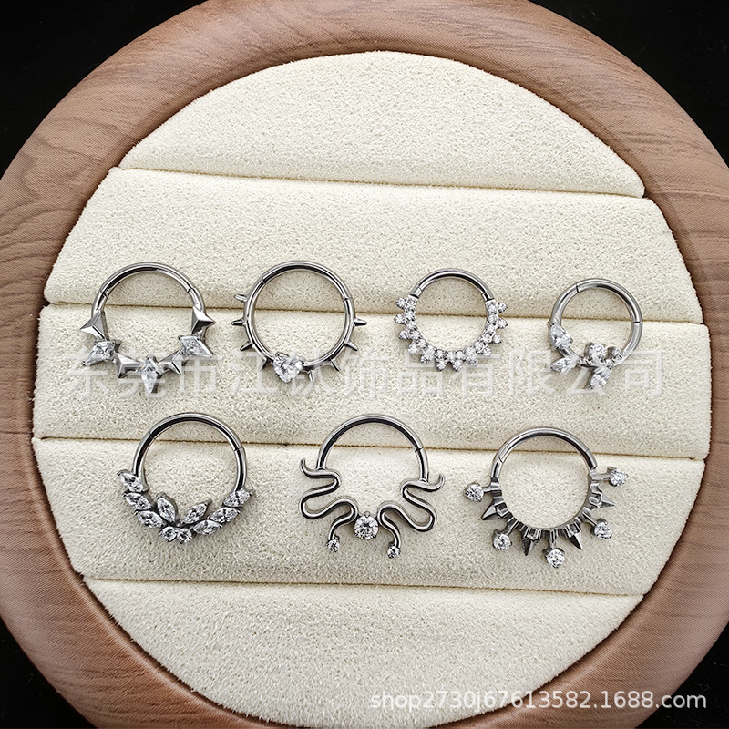 G23 Titanium Nose Ring Heart Full Diamond Closed Ring Cross-Border Body Piercing Jewelry Earrings - Image 2