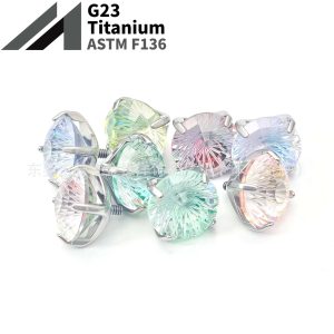 F136 Titanium Round Bottom Claw-Embedded Ferris Wheel Gradient Lip Stud Ear Bone Stud G23 Titanium Alloy Body Piercing Jewelry