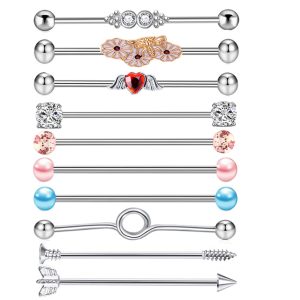 Industrial Barbell Crossbar 10 Piece Set - Stainless Steel Geometric Earrings for Double Ear Piercing