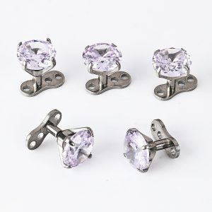 Zesen G23 Titanium Alloy Subcutaneous Buried Nail Zircon Internal Thread Lockbone Nail with Base suit Puncture Jewelry