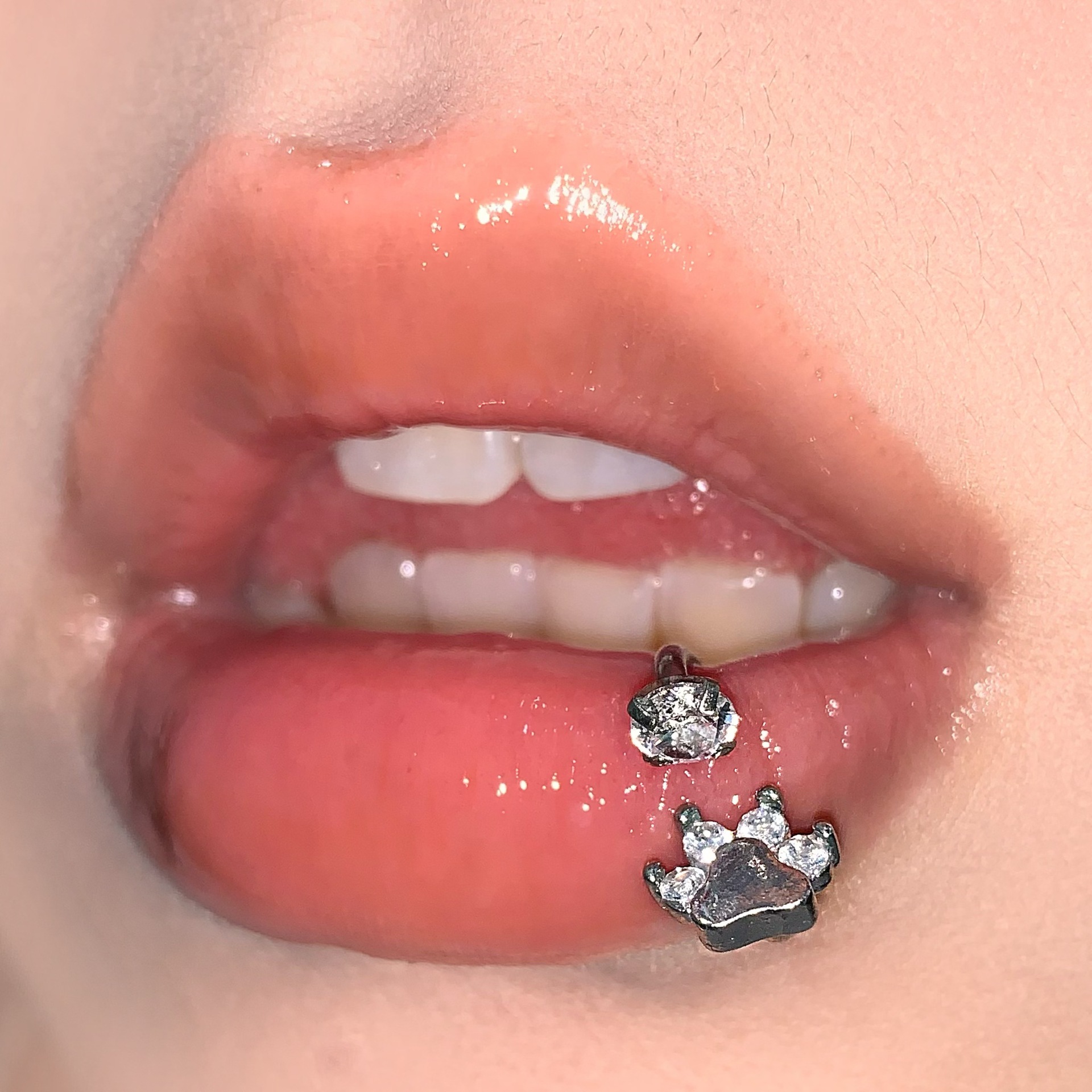 Sparkling CZ Dog Paw Cat Paw Lip Ring Internal Thread C-Ring 316L Surgical Steel Lip Hoop Piercing Jewelry - Image 3