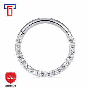 G23 Titanium Side Inlay CZ Closed Ring Nose Ring Earring - Simple Gold