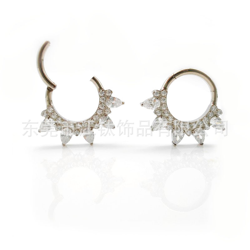 Titanium Nose Ring Closed Hoop with Petals Inlaid 5A Zircon G23 ASTM F136 Body Piercing Jewelry - Image 5