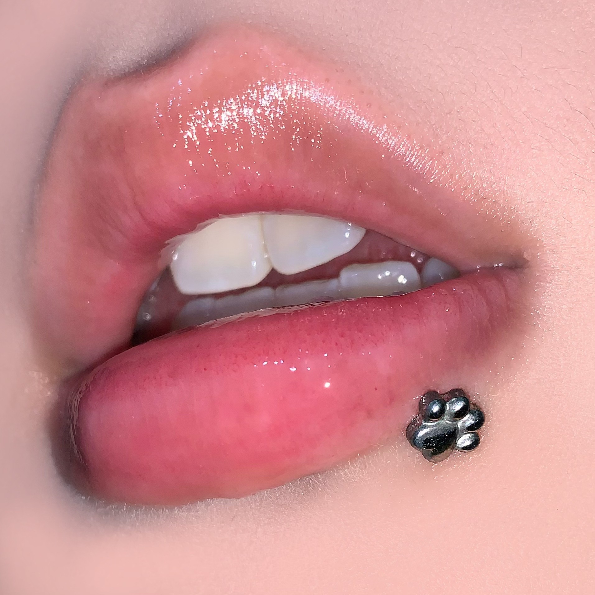 Cat Paw Dog Paw Bear Paw Lip Labret Stud 16G 1.2mm x 16mm Internally Threaded 316L Surgical Steel Lip Piercing Jewelry European American Hot Girl Wholesale - Image 2