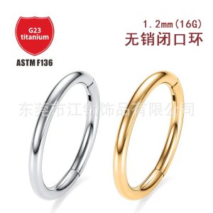 G23 Titanium Alloy Closed Ring Lip Ring Seamless Plain Ring 18K Gold Plated Body Piercing Jewelry Earring