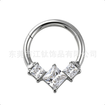 G23 Titanium Nose Ring with Zircon Inlay, Closed Ring Ear Bone Hoop, ASTM F136 Titanium Alloy Body Piercing Jewelry - Image 5