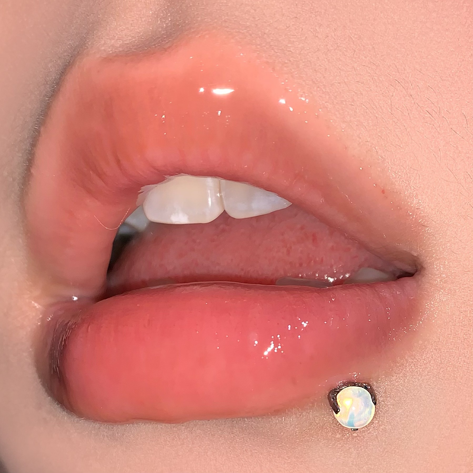 3 Claw Opal Lip Labret Stud 16G 1.2mm x 16mm Steel Titanium Internal Thread Lip Piercing Jewelry Wholesale - Image 2