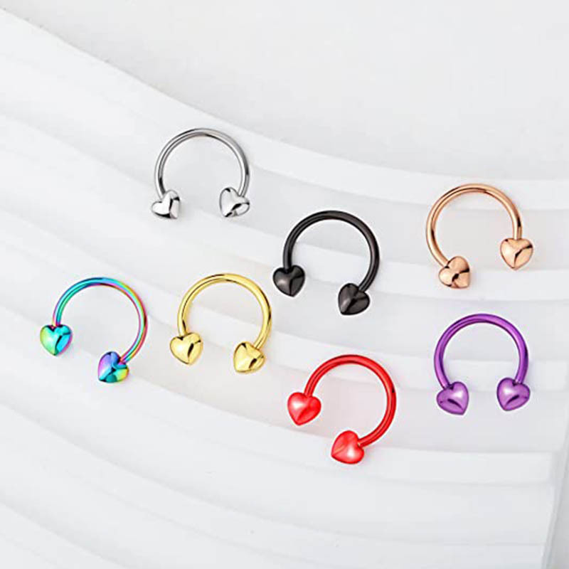 Heart-Shaped Nose Ring Spiral Earrings Stainless Steel 316L Surgical Steel Body Piercing Jewelry for Men Women - Image 2