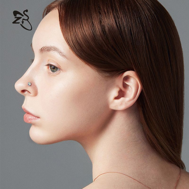 Stainless Steel Zircon Nose Stud Star Heart Shape Nose Piercing Jewelry Wholesale - Image 3