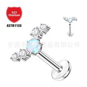 F136 Titanium Earrings Inlaid with Aobao Zircon - G23 Titanium Alloy Cartilage Stud Ear Nails for Men and Women