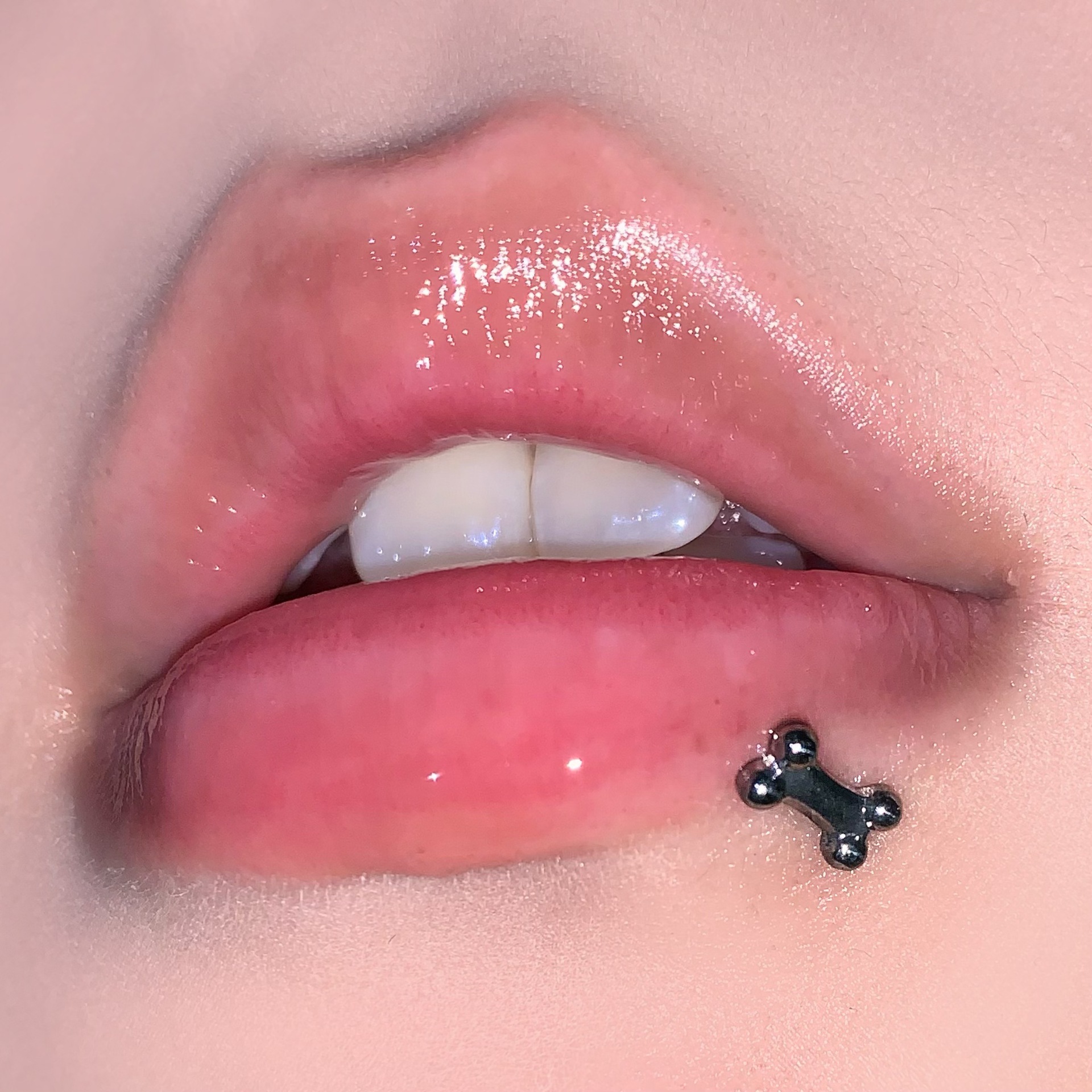 Puppy Bone Lip Labret Stud 316L Surgical Steel Internal Thread Lip Piercing Jewelry for Women Men - Image 3