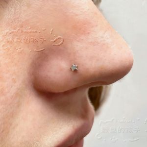 Satan's Children 316L Surgical Steel Nose Ring Septum Nose Ornament Nose Stud Piercing Jewelry Handmade Braid 0.8mm