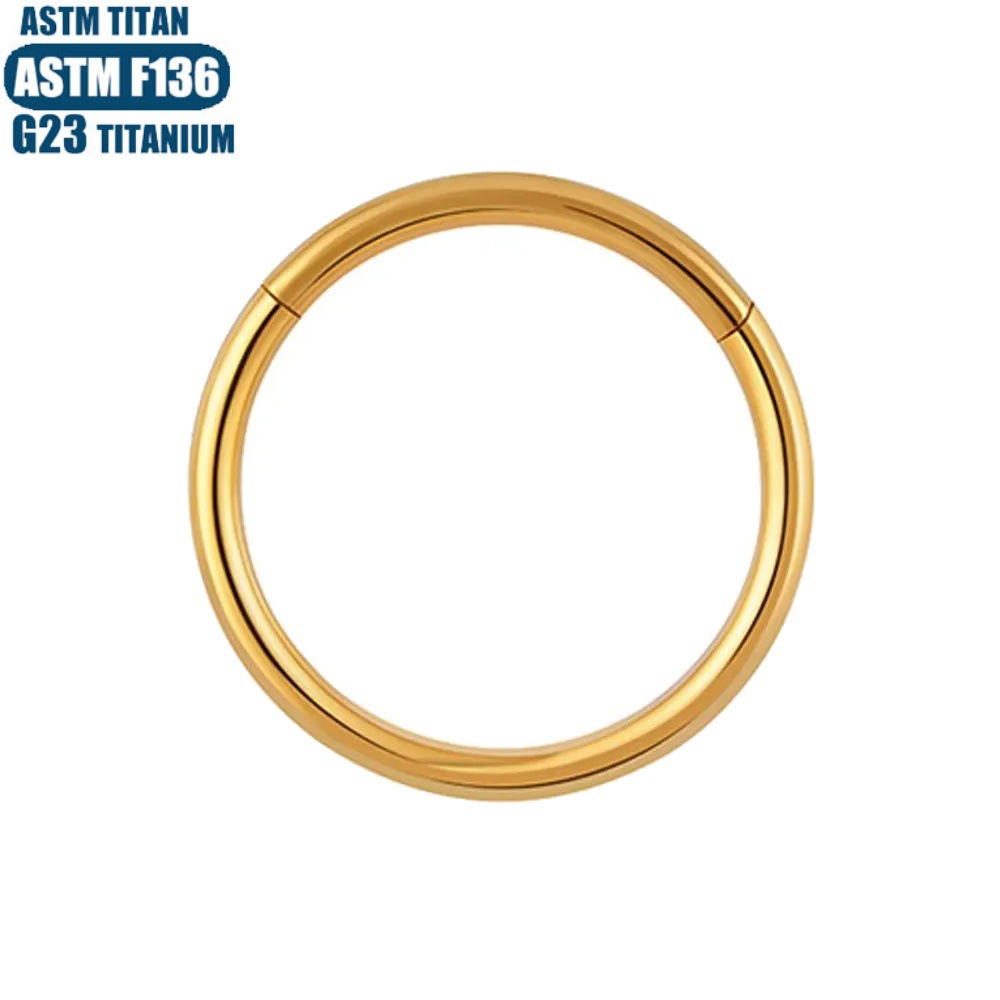 G23 Titanium Alloy Hinge Seamless Nose Ring Hoop Cartilage Earring for Women Men - Image 2