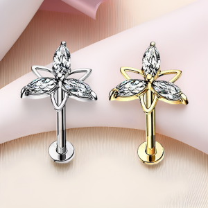 F136 Titanium Alloy Triangle Flower CZ Earrings Internally Threaded Piercing Small Earrings Lip Ring Lip Jewelry