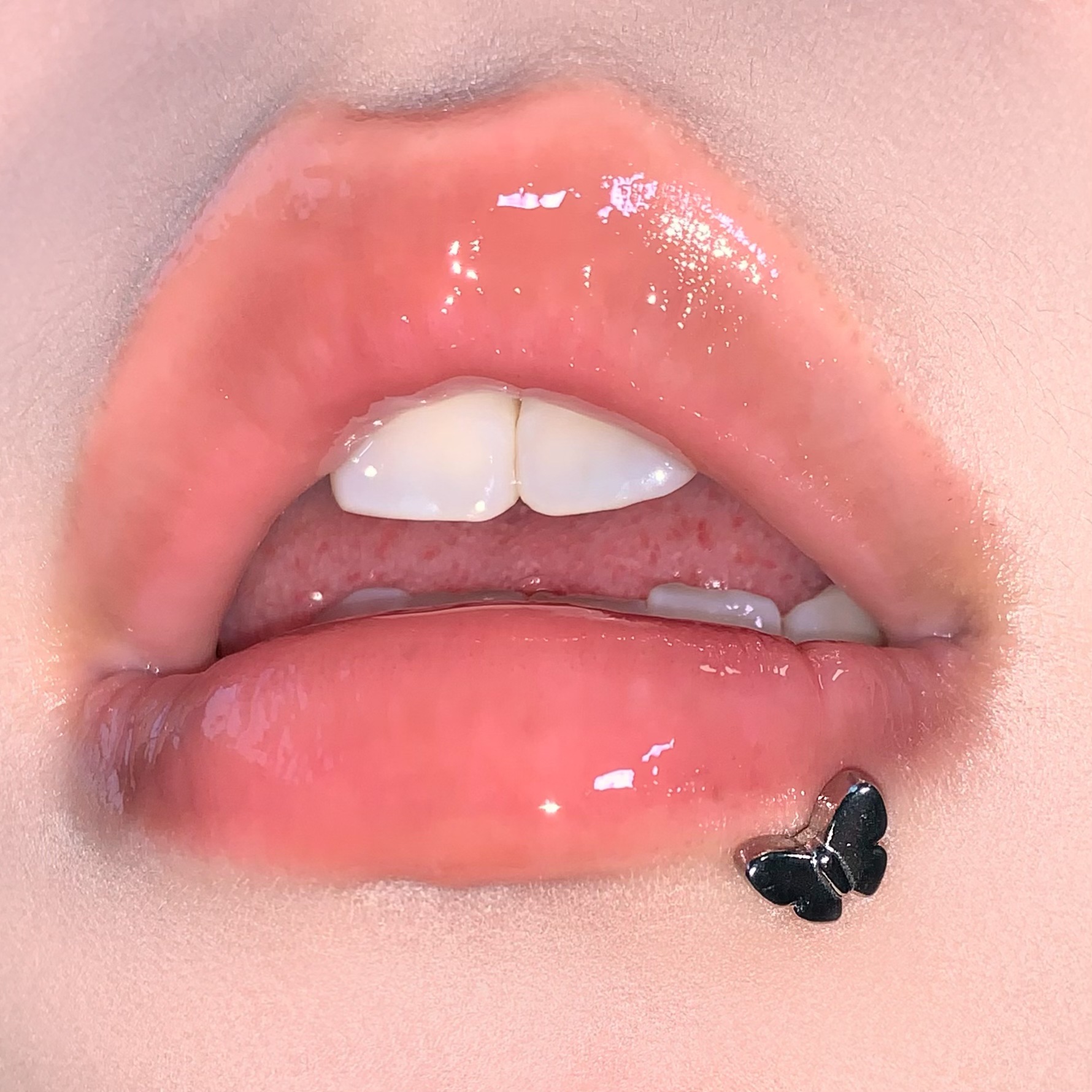 Butterfly Lip Piercing Labret Stud 16G 1.2mm x 16mm Stainless Steel Internally Threaded Lip Ring Straight Barbell Body Jewelry Wholesale - Image 2