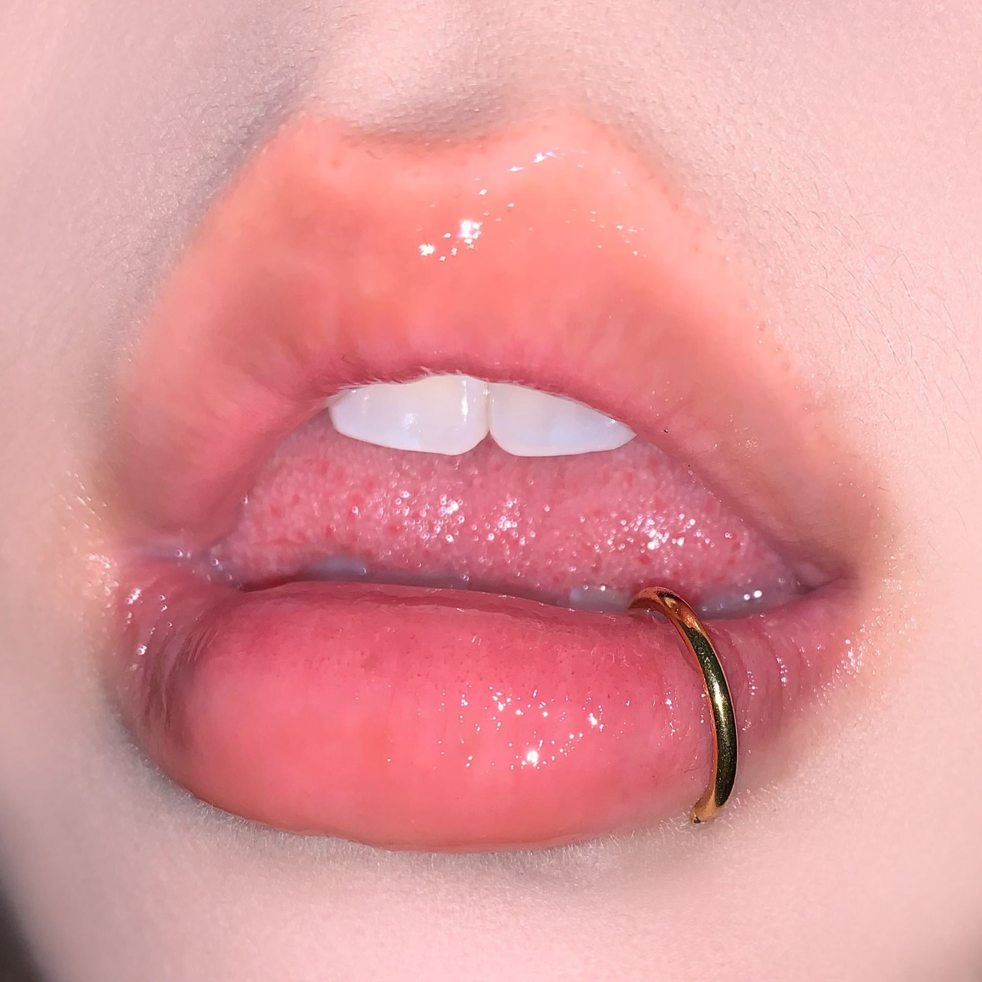 D-Ring Lip Ring Stainless Steel Titanium Snap-In Seamless Ring Lip Nail Ear Bone Nail Hot Girl Piercing Jewelry Wholesale - Image 3