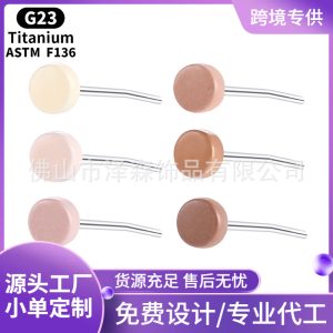 F136 Titanium Alloy Stud Earrings Pin-Type Flat Flesh-Colored Invisible Ear Bone Nails G23 Titanium Skin Nails 2mm