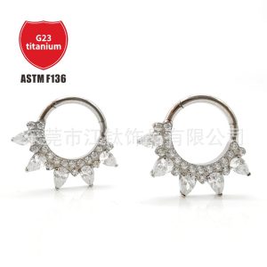 Titanium Nose Ring Closed Hoop with Petals Inlaid 5A Zircon G23 ASTM F136 Body Piercing Jewelry