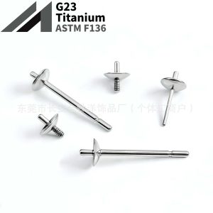 F136 Titanium Pearl Seat DIY Bowl Needle Support Earrings Ear Stud G23 Titanium Alloy Body Piercing Jewelry