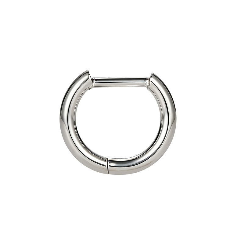 F136 Titanium Alloy Straight Needle Earrings D-Ring Nose Ring Ear Clip Polished D-Shaped Ear Studs Hoops Cartilage Rings - Image 5