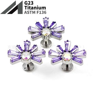 F136 Titanium Sunflower Fireworks Gradient Inlaid 5A Zircon Earrings Lip Studs G23 Titanium Alloy Body Piercing Jewelry