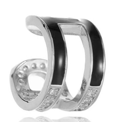 TikTok Style Exquisite Small High-End Zircon H Earrings for Women Fashion Niche Design Temperament Earrings - Image 3
