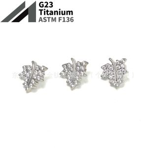 F136 Titanium Leaf Inlaid 5A Zircon Earrings Lip Nails Nose Nails Ear Bone Nails G23 Titanium Alloy Body Piercing Jewelry