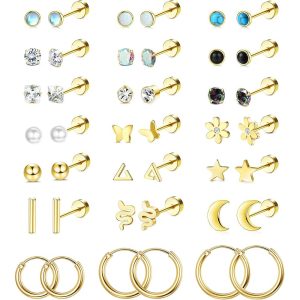 21 Pairs Aobao Pine Stone Stainless Steel Earrings Set - Human Body Piercing Ear Bone Nail Kit, Silver