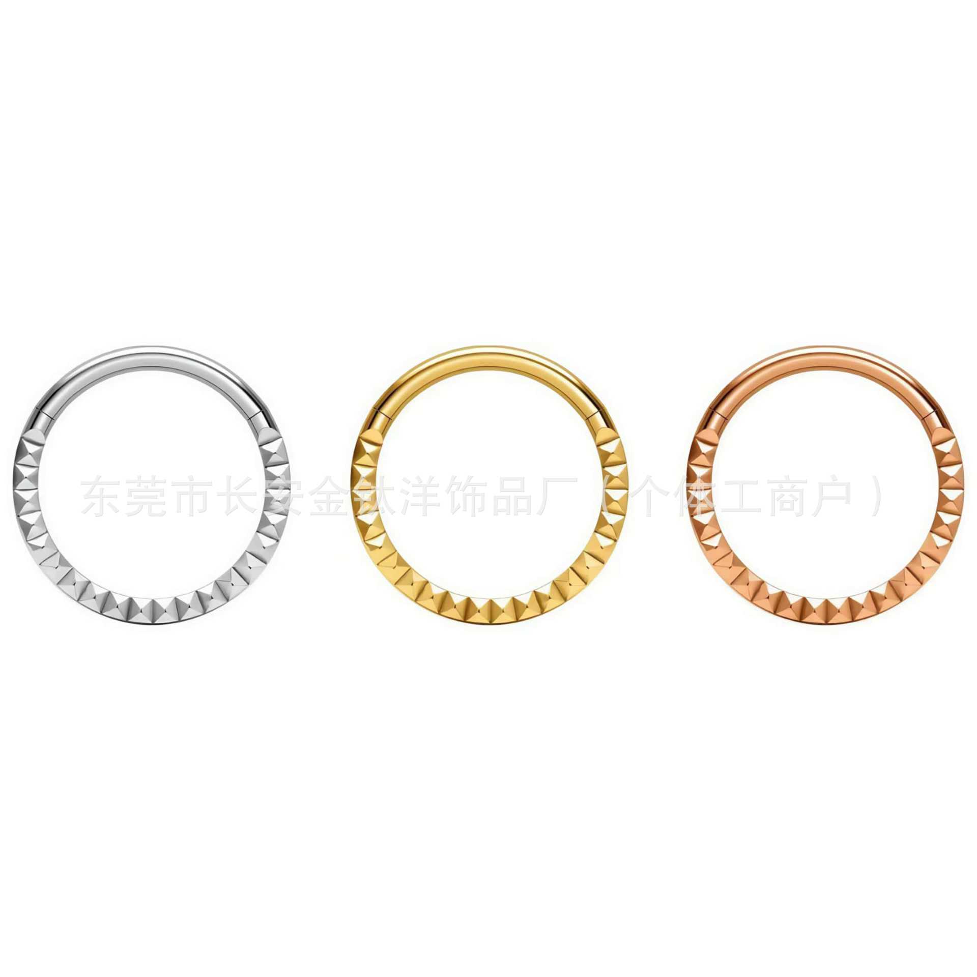 F136 Titanium Engraved Closed Ring, Pinless Seamless Ring, Nose Ring, Lip Ring, Ear Cartilage Stud, G23 Titanium Alloy Piercing Jewelry - Image 5