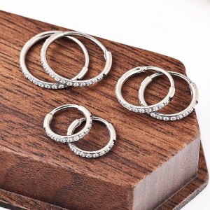 Zesen F136 Titanium Alloy One-Piece Diamond Earrings Carved with Zircon G23 Titanium Round Wire Earrings