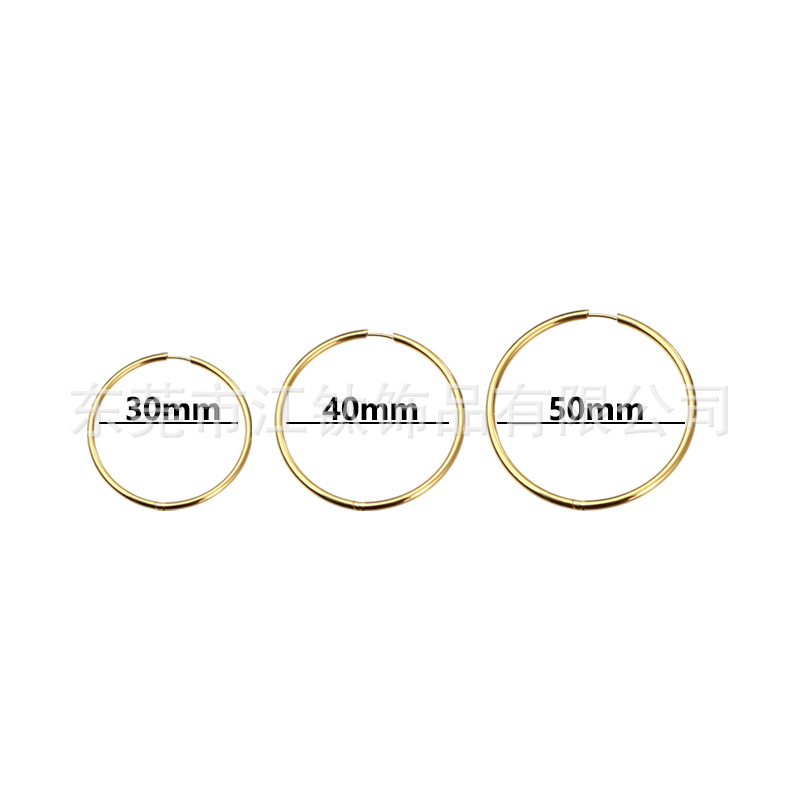 G23 Titanium Large Hoop Earrings Plain Hoop Ear Jewelry Cross-Border ASTM F136 Titanium Alloy Body Piercing Ear Studs Ear Hoops - Image 2