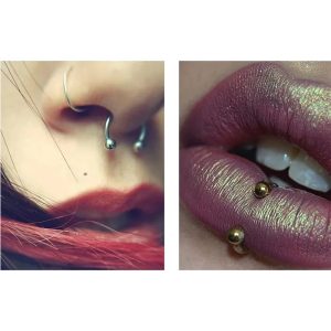 G23 Titanium F136 External Thread Horseshoe Nose Ring Septum Piercing Jewelry