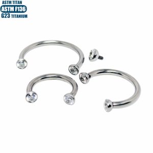 F136 Titanium Alloy Horseshoe Nose Ring C-Shaped Inner Spiral Body Piercing Jewelry 16G Zircon Lip Ring Earring