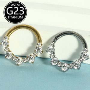 G23 Titanium Alloy Inlaid Zircon Earrings Nose Ring Closed Ring All Over Titanium Piercing Jewelry Spot Single Sale