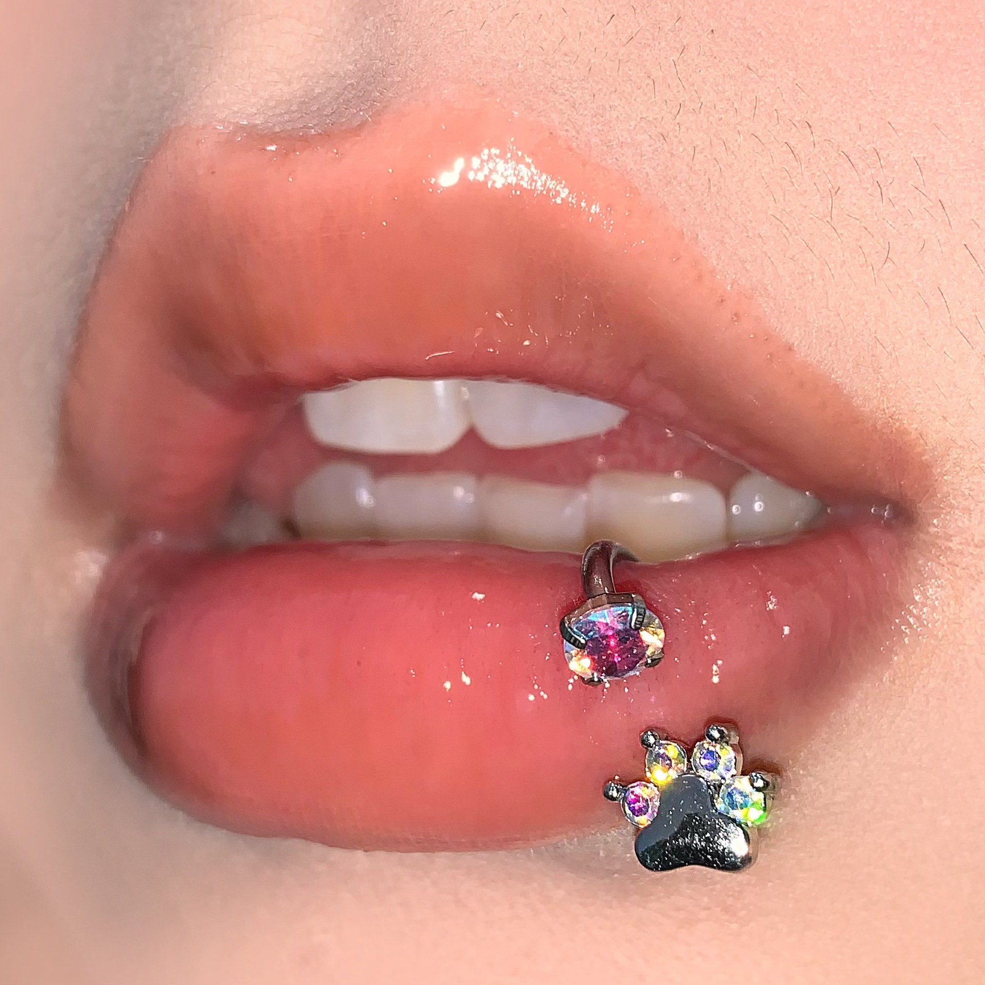 Sparkling CZ Dog Paw Cat Paw Lip Ring Internal Thread C-Ring 316L Surgical Steel Lip Hoop Piercing Jewelry - Image 2