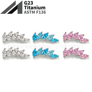F136 Titanium Beveled Marquise Five-Leaf Bezel-Set 5A Zircon Ear Cartilage Stud Earring Body Piercing Jewelry