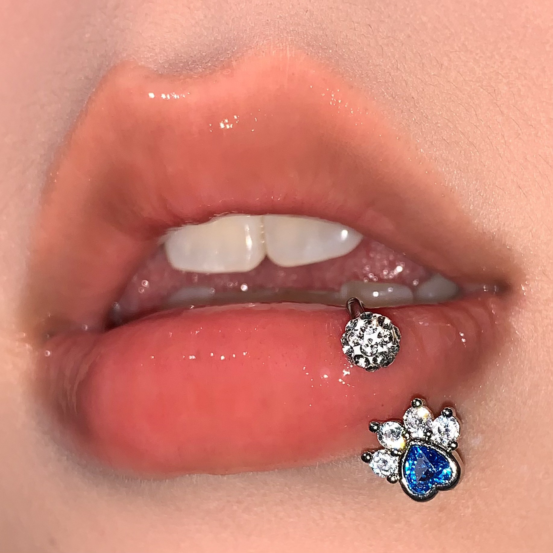 3-Color Sparkling Rhinestone Cat Claw Lip Ring C-Shaped Lip Hoop Labret Stud Body Piercing Jewelry Wholesale - Image 2