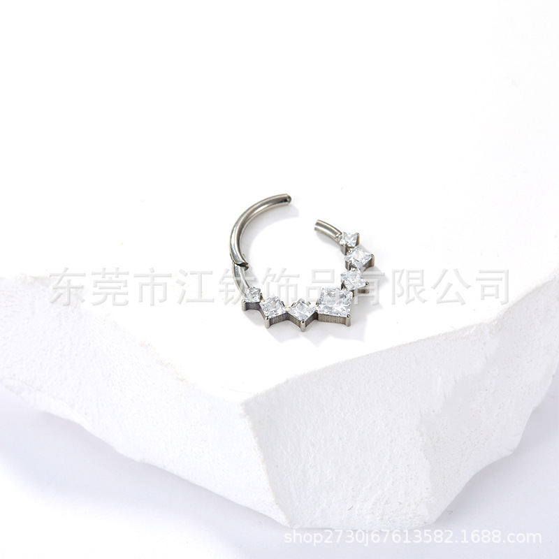 Titanium Nose Ring Fishbone Zircon Closed Ring G23 ASTM F136 Body Piercing Jewelry Earrings - Image 4