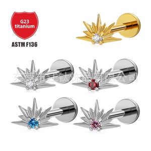 Gold Crown Zircon G23 Titanium Alloy Ear Cartilage Stud Earring Body Piercing Jewelry