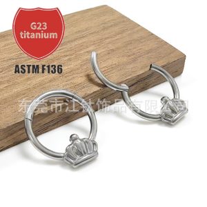 F136 Titanium Seamless Ring Nose Hoop Crown Earrings G23 Titanium Alloy Body Jewelry