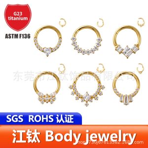 G23 Titanium Nose Ring with Zircon Inlay, Closed Ring Ear Bone Hoop, ASTM F136 Titanium Alloy Body Piercing Jewelry
