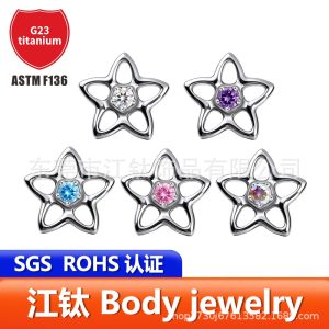 G23 Titanium Alloy Cartilage Ear Stud with Small Flower Design and Zircon Inlay – Star Shape Body Piercing Jewelry