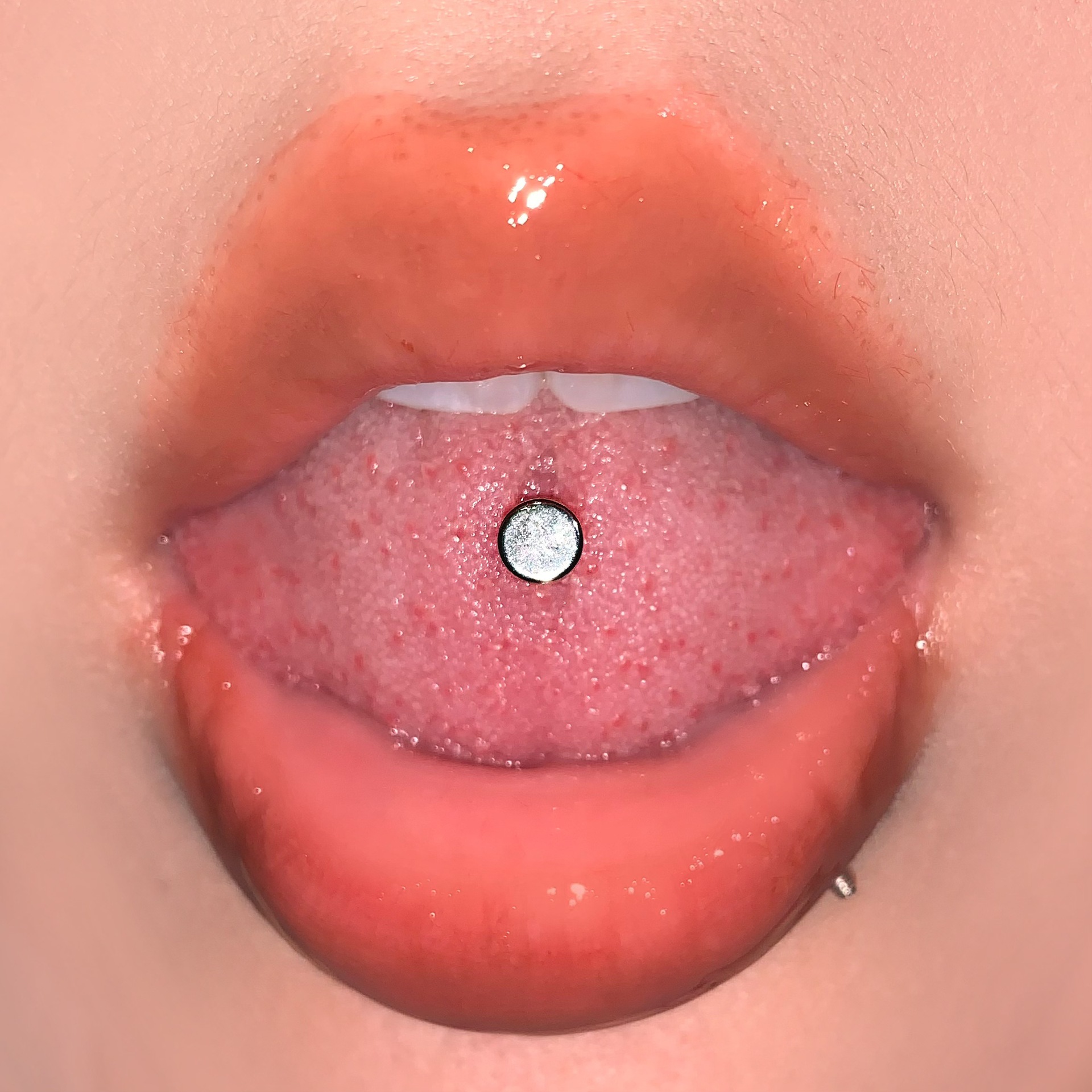Flat Double-Ended Tongue Barbell 16mm Bar Length 1.6mm Thick 316L Surgical Steel Internally Threaded Tongue Ring - Image 2