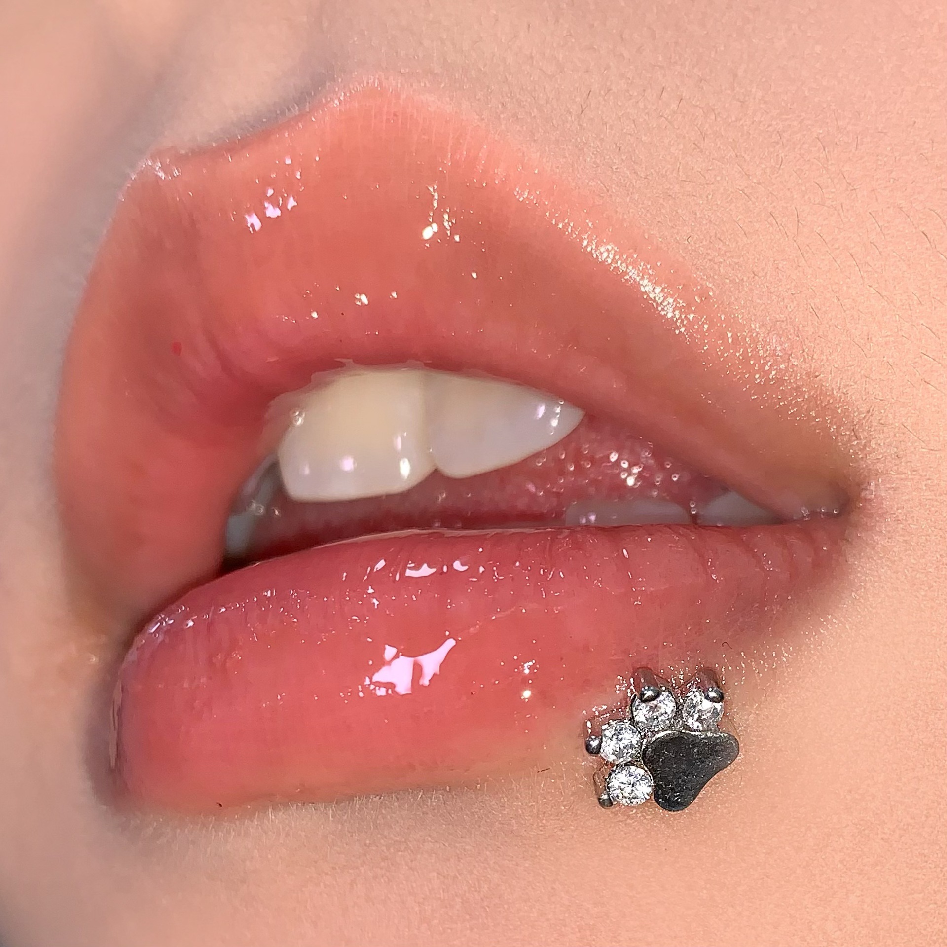 Sparkling Diamond Paw Lip Studs - Cute Dog Cat Bear Paw Internally Threaded Labret, 3 Colors, 316L Surgical Steel Lip Piercing Jewelry - Image 3