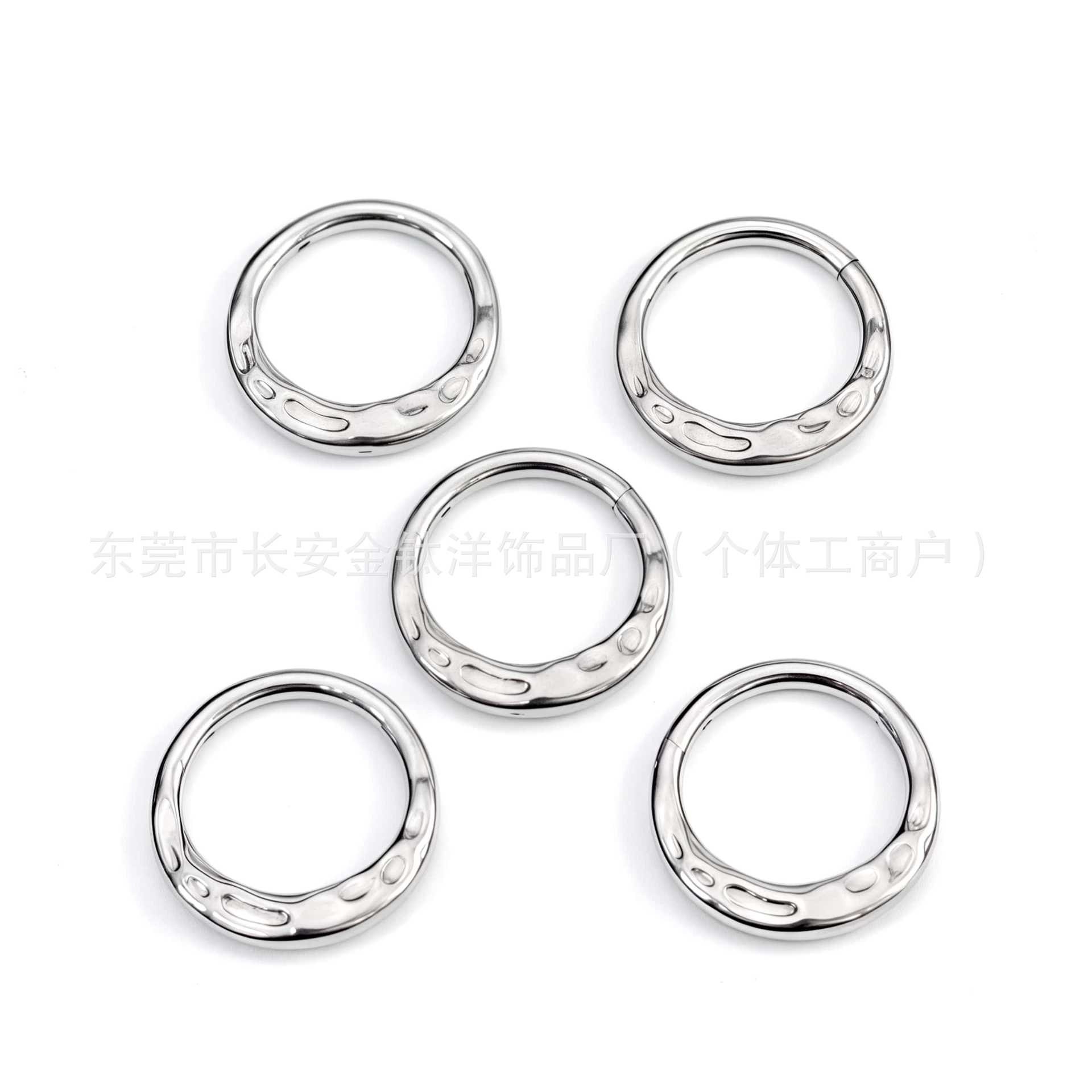 G23 Titanium Embossed Edge Closed Ring Pinless Hoop Earrings Nose Ring Seamless Ring Body Piercing Jewelry - Image 5