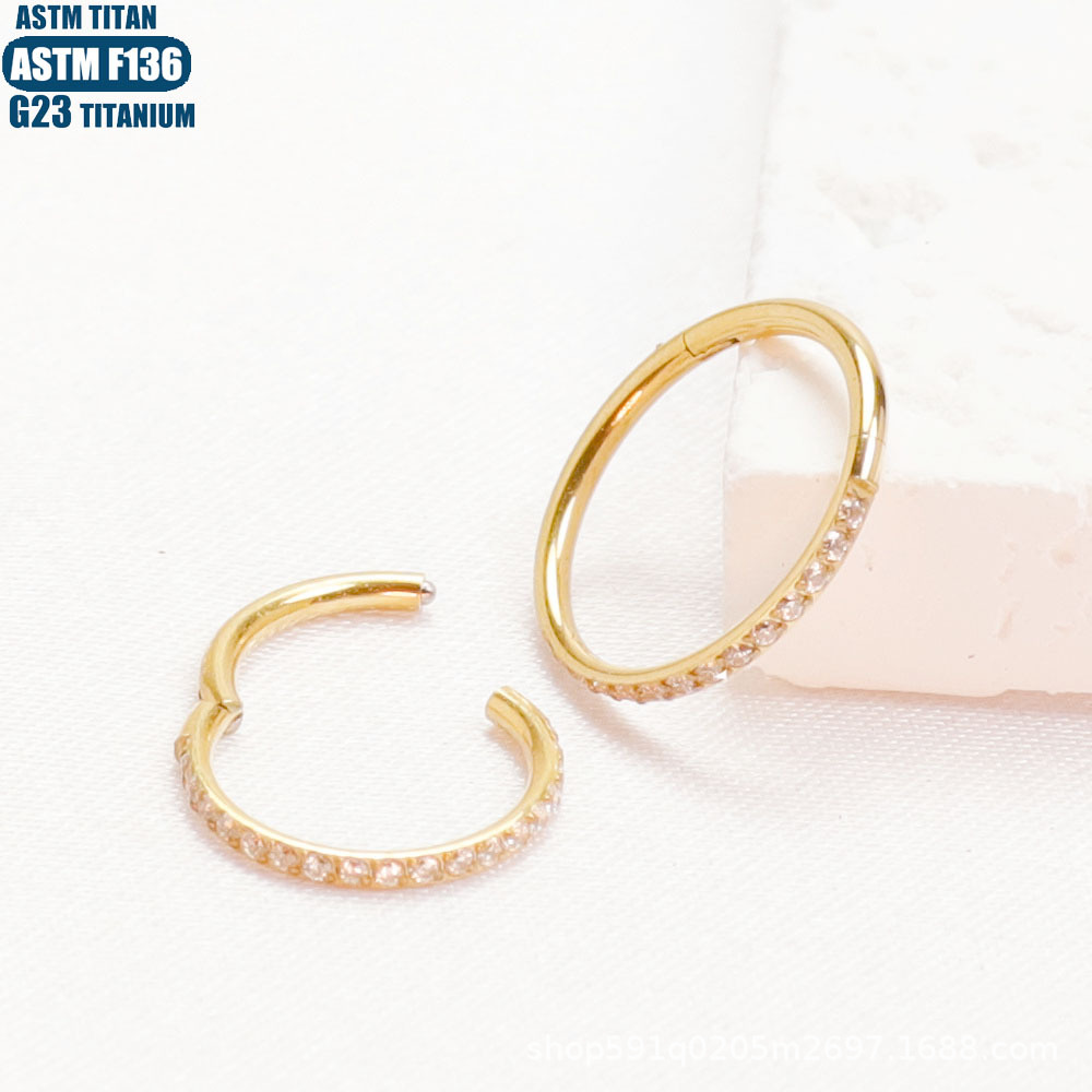 F136 Titanium Alloy Nose Ring Implant Grade CNC Seamless Ring Ear Bone Stud CZ Zircon Earrings - Image 2