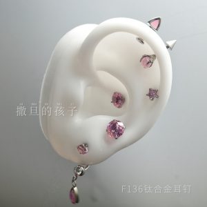 Satan's Child F136 Titanium Alloy Earrings Flashing Collection Sparkling Diamond Rose Cut Firework Cut Titanium Alloy Earrings