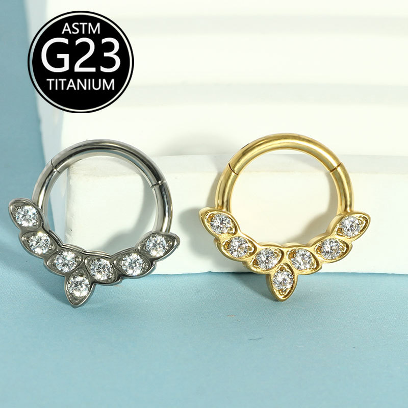 G23 Titanium Nose Ring Closed Ring Piercing Jewelry with Zircon and Diamond, European American Style Nose Jewelry - Image 3